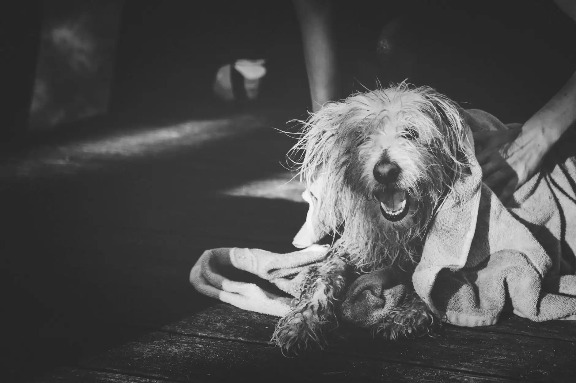Hélène Portfolio 4