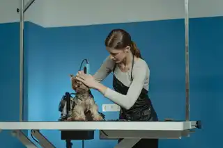 Sophie Portfolio 3
