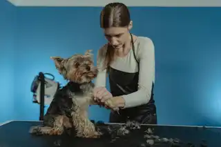 Sophie Portfolio 2