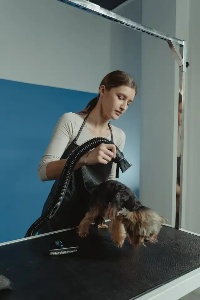 Sophie